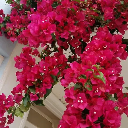 Evin Guest house 2*